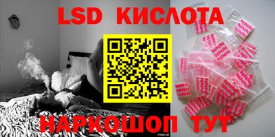 индика Кандалакша