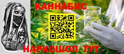 индика Кандалакша