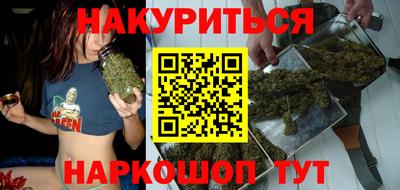 индика Кандалакша