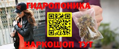 индика Кандалакша