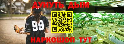 индика Кандалакша