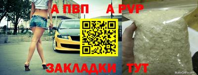 индика Кандалакша