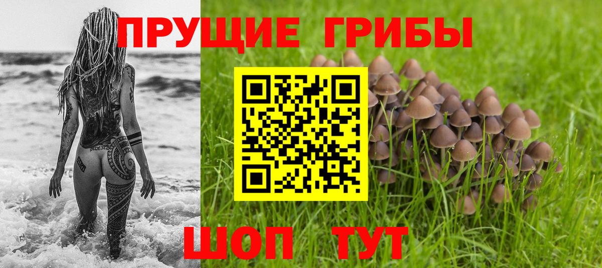 Галлюциногенные грибы Psilocybe  где купить наркоту  Вход с VPN  Тутаев  Псилоцибиновые грибы ЛСД 