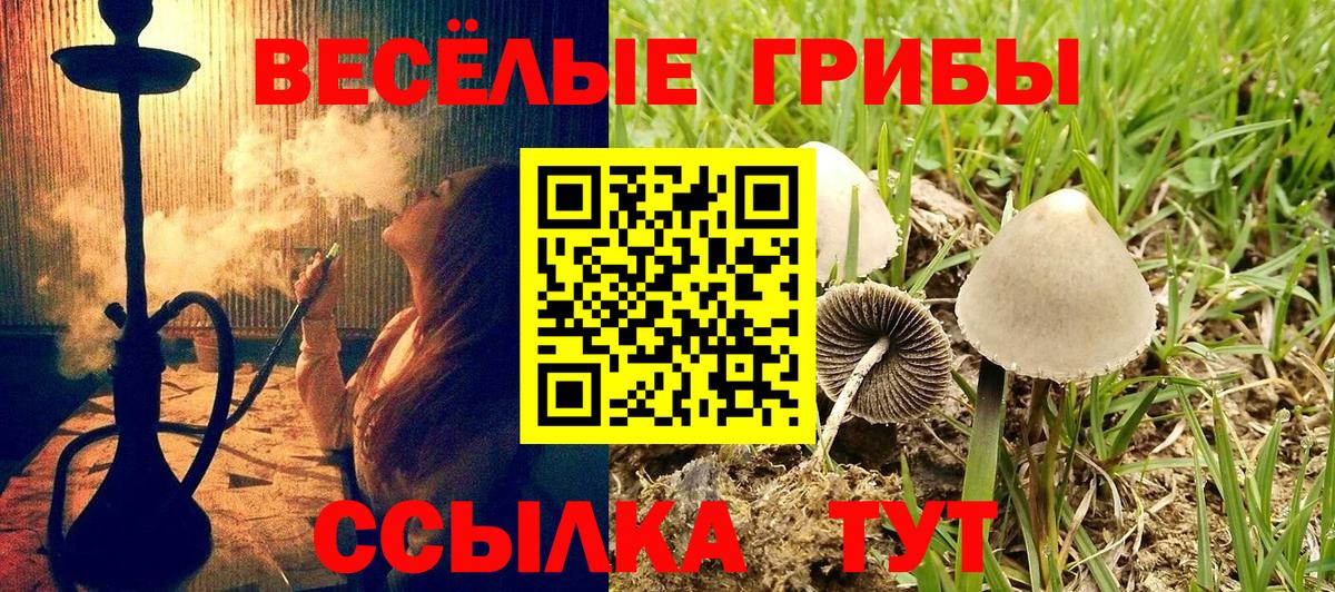 Галлюциногенные грибы мицелий Тутаев